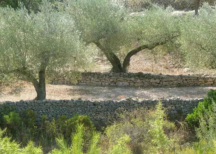 Casa Almendra *