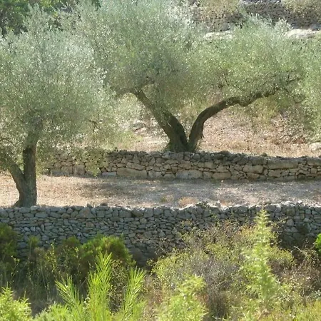 Casa Almendra *